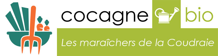 Accueil